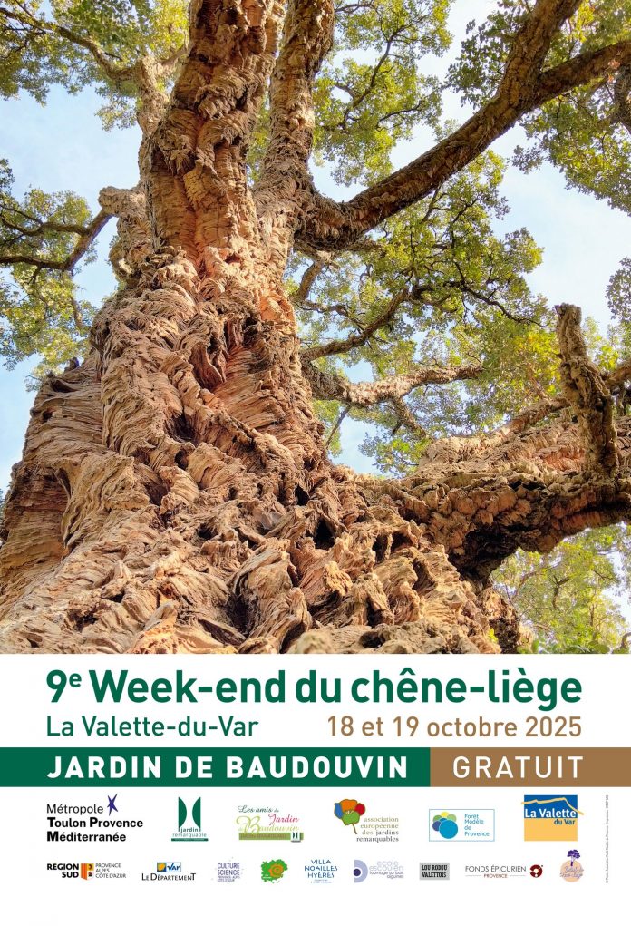 Affiche-Week-end-du-chene-liege-2025-696x1021
