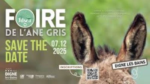 Foire de l'Âne gris DIGNE 07 12 2025